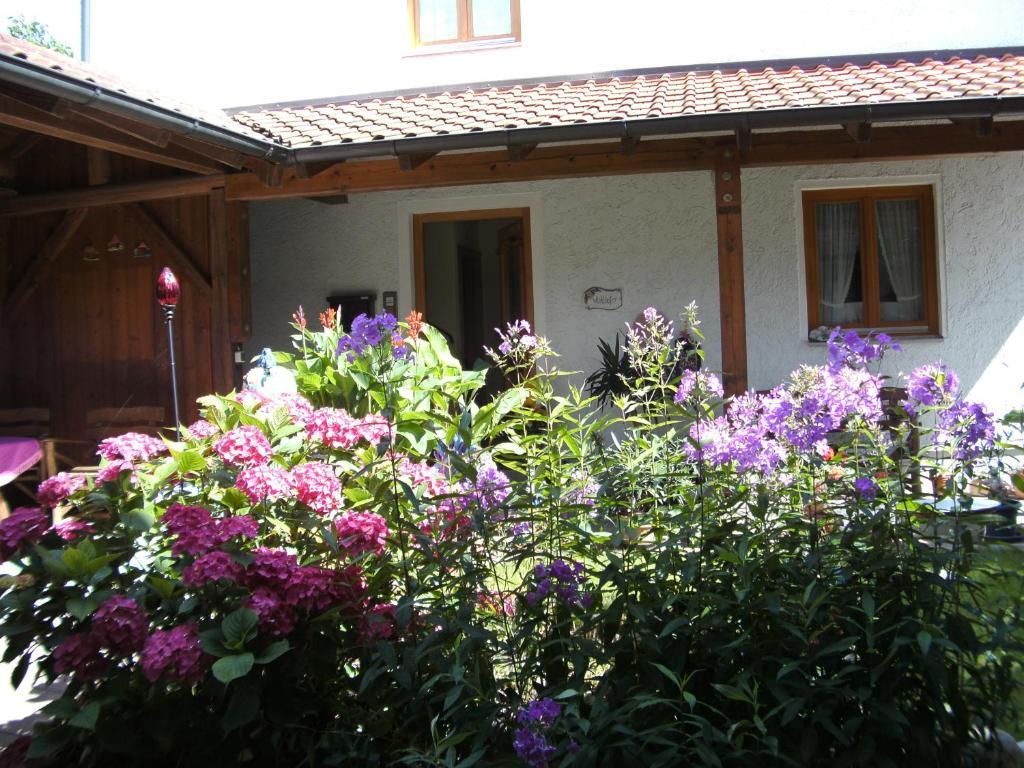 Appartementhaus Elisabeth Winklhofer 巴特法兴格 客房 照片